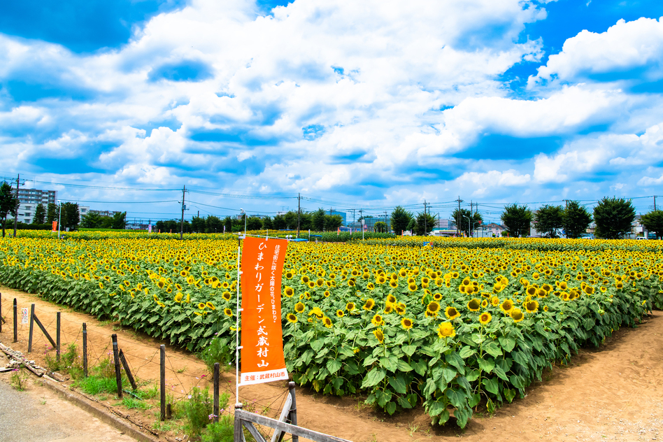 武蔵村山市の建設業許可に関する情報